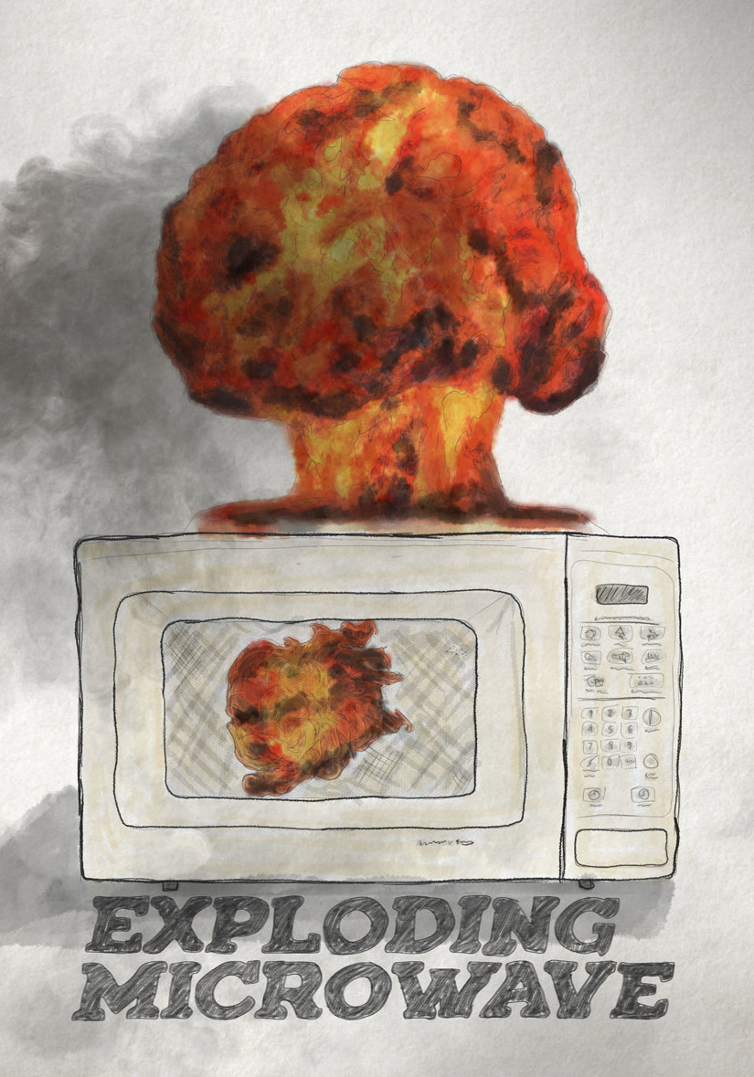 This is a Story, All About How, My Microwave EXPLODED KYLE HEIMANN