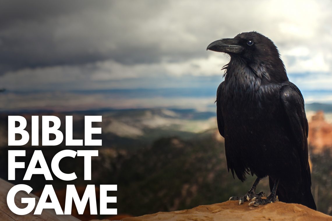 Bible Fact Game