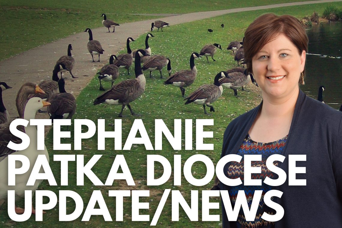 Stephanie Patka News